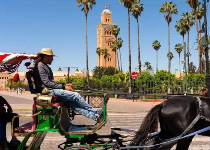 Tour De 10 Días Por Marruecos Desde Casablanca