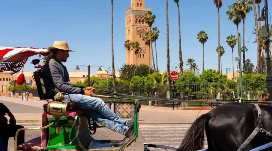 Tour De 10 Días Por Marruecos Desde Casablanca Tour De 10 Días Por Marruecos Desde Casablanca