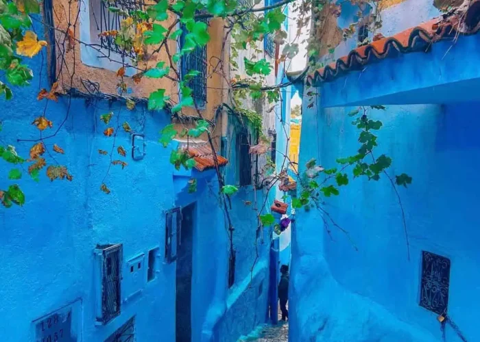 Tour De 11 Días Desde Marrakech A Casablanca