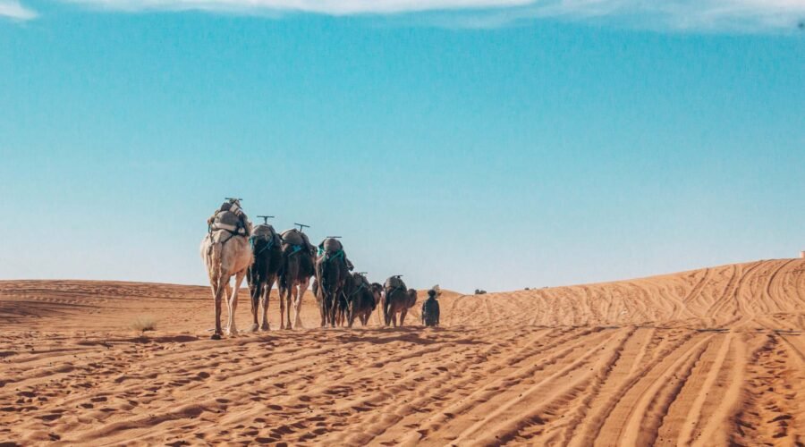 Tour De 2 Días De Fez Al Desierto Tour De 2 Días De Fez Al Desierto