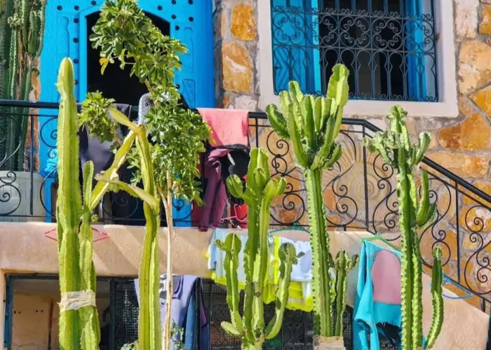 Tour De 7 Días Desde Casablanca A Marrakech Vía Fez